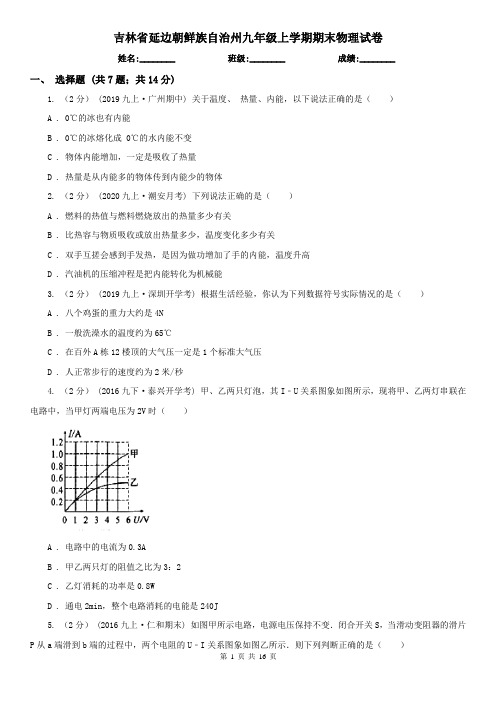 吉林省延边朝鲜族自治州九年级上学期期末物理试卷