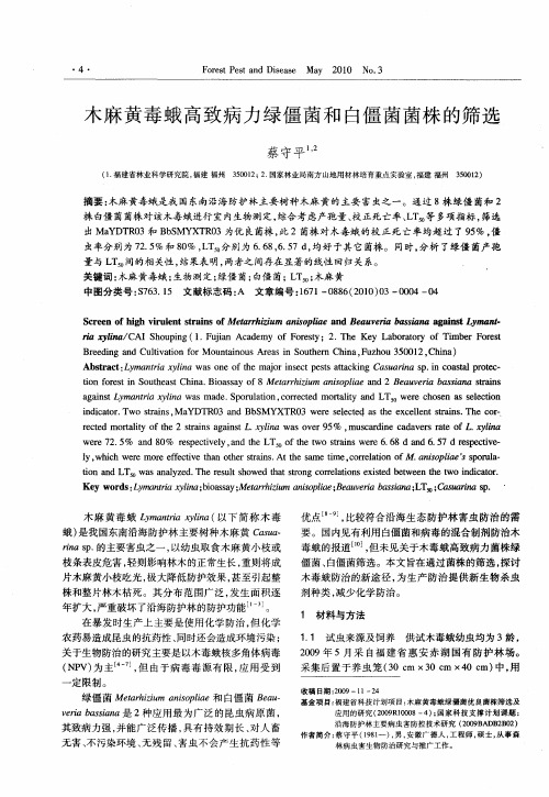 木麻黄毒蛾高致病力绿僵菌和白僵菌菌株的筛选
