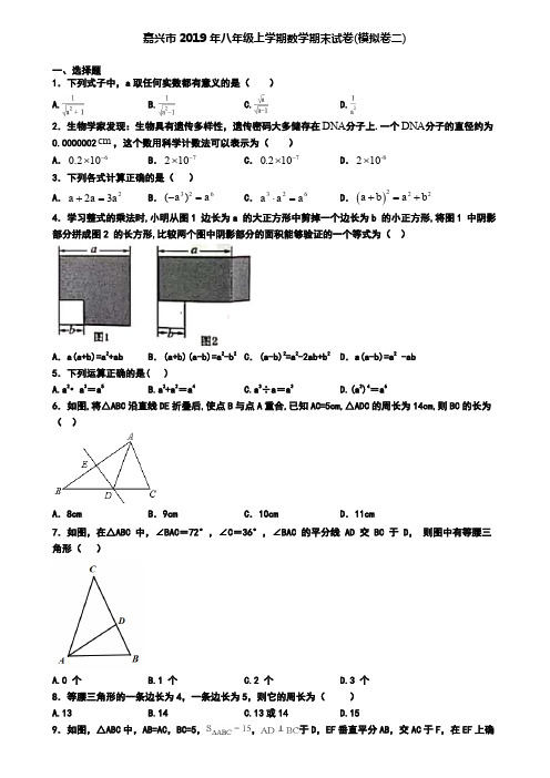 嘉兴市2019年八年级上学期数学期末试卷(模拟卷二)