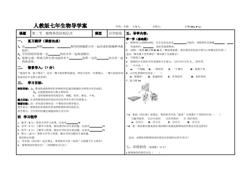 第二节  植物体的结构层次导学案