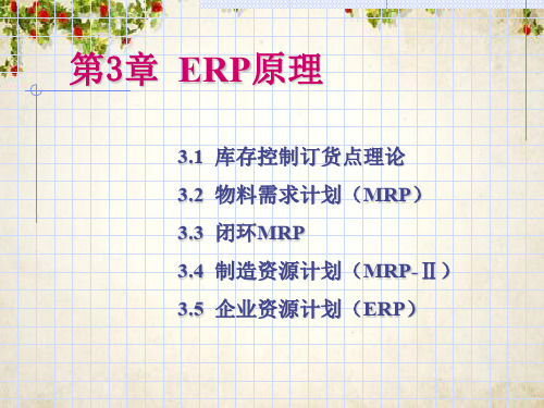 ERP原理基本知识(ppt 41页)