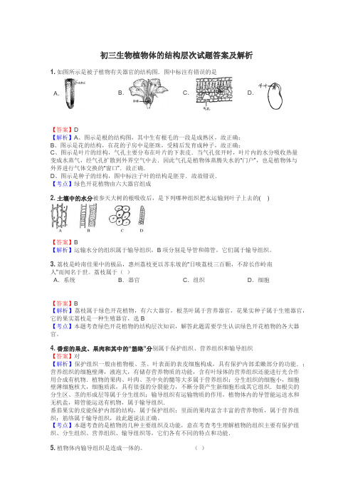 初三生物植物体的结构层次试题答案及解析
