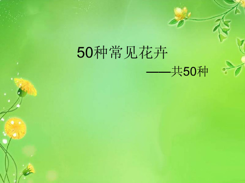 50种常见花卉