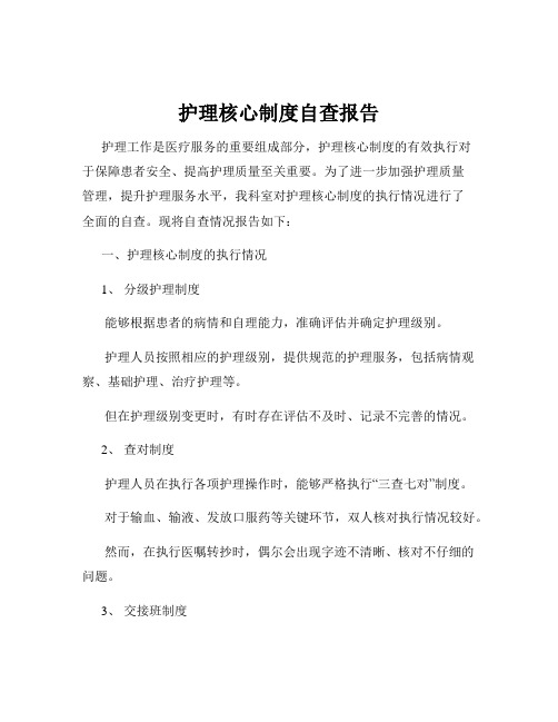 护理核心制度自查报告