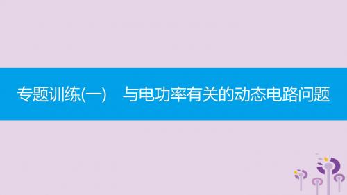 九年级物理全册 第十八章 电功率专题训练(一)与电功率