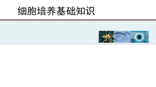 细胞培养基础知识