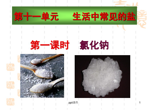 化学常见的盐(1)  ppt课件