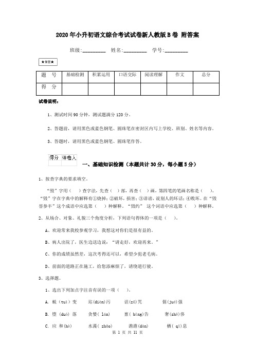 2020年小升初语文综合考试试卷新人教版B卷 附答案