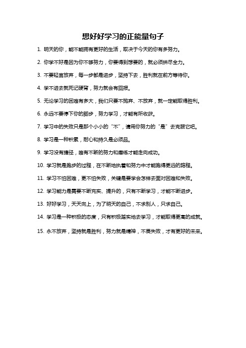 想好好学习的正能量句子