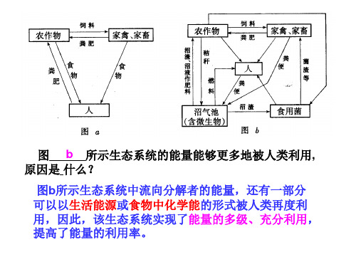 高中生物必修三第六章复习课件