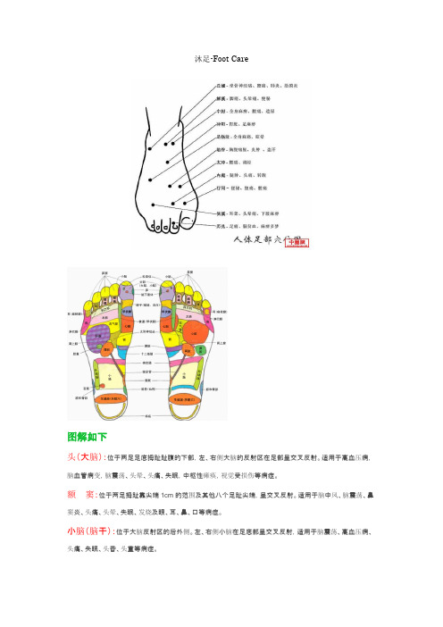 反射区对照图