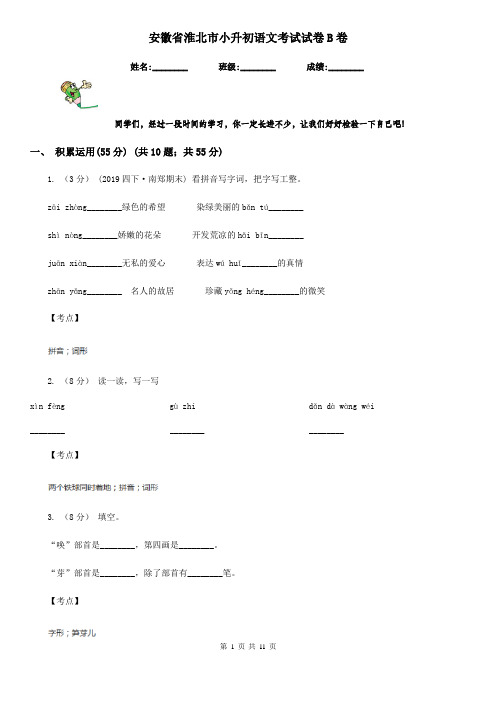 安徽省淮北市小升初语文考试试卷B卷