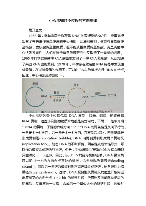 中心法则各个过程的方向规律