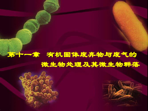 【环境课件】第十一章 有机固体废弃物与废气的微生物处理及其微生物群落