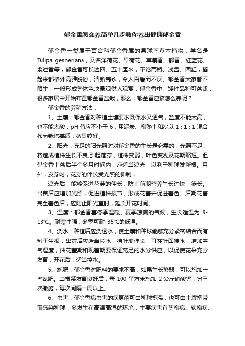 郁金香怎么养简单几步教你养出健康郁金香