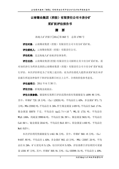 云南锡业集团(控股)有限责任公司卡房分矿采矿权评估报告书_实务案例