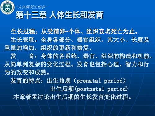 人体解剖生理学 第十三章 人体生长和发育