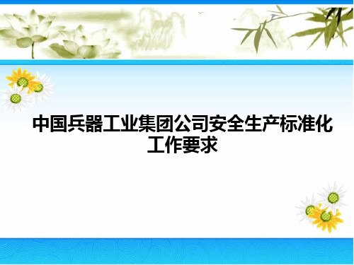 集团公司安全生产标准化工作要求(改)