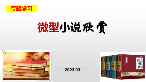 2023统编高中语文必修下册微型小说欣赏课件25张