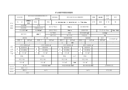 矿山地质环境现状调查表(标准版)