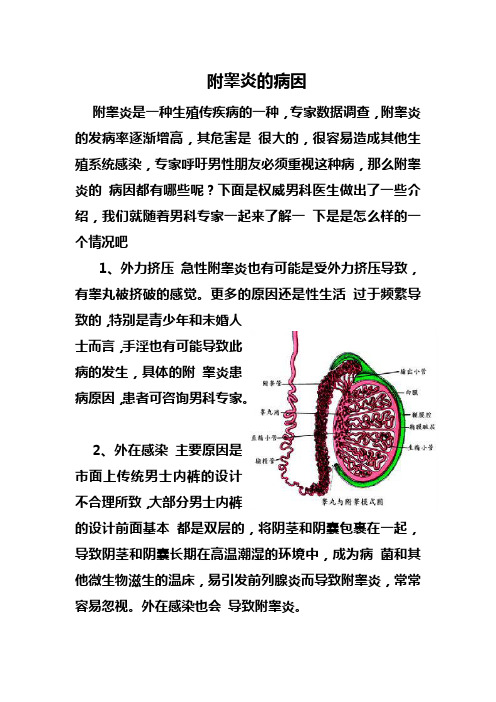 附睾炎的病因