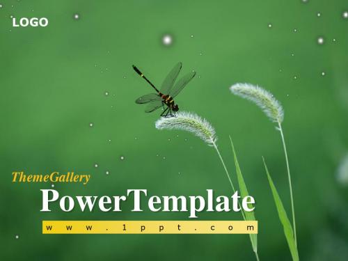 经典PPT模板—PowerTemplate