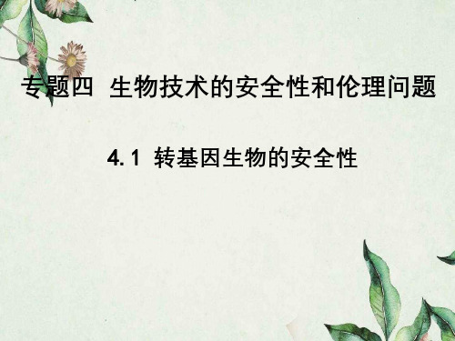 转基因生物安全性专题四生物技术安全性与伦理问题