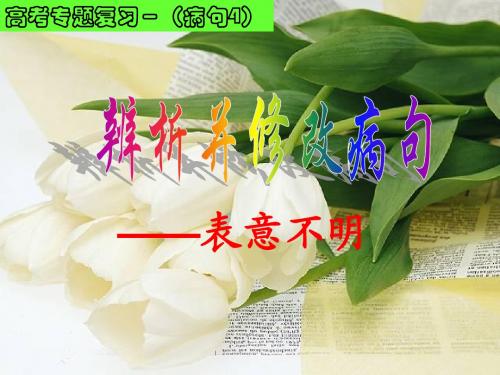 《辨析并修改病句-表意不明》