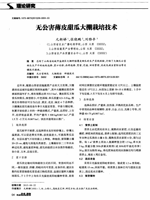 无公害薄皮甜瓜大棚栽培技术