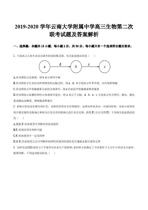 2019-2020学年云南大学附属中学高三生物第二次联考试题及答案解析