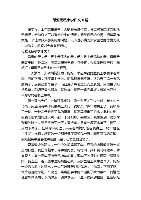 母爱无私小学作文6篇