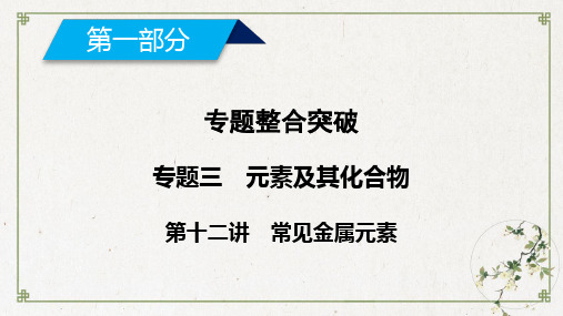 高考化学复习专题PPT课件常见金属元素