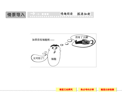 高中生物真核细胞与原核细胞ppt课件