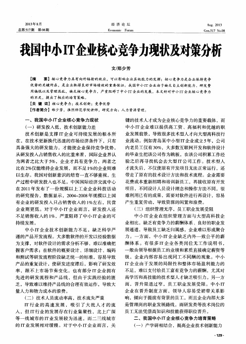 我国中小IT企业核心竞争力现状及对策分析