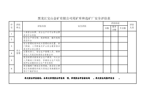 安全评估报告表