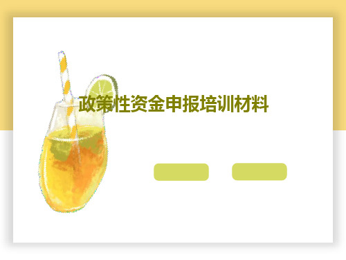 政策性资金申报培训材料共88页文档