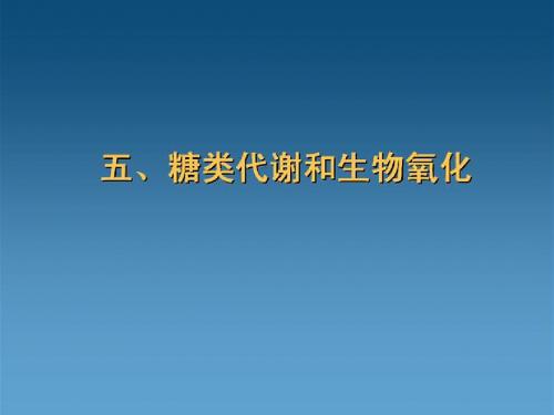 吉林大学食品生物化学 9 糖代谢-2