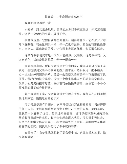 我真想____半命题作文600字