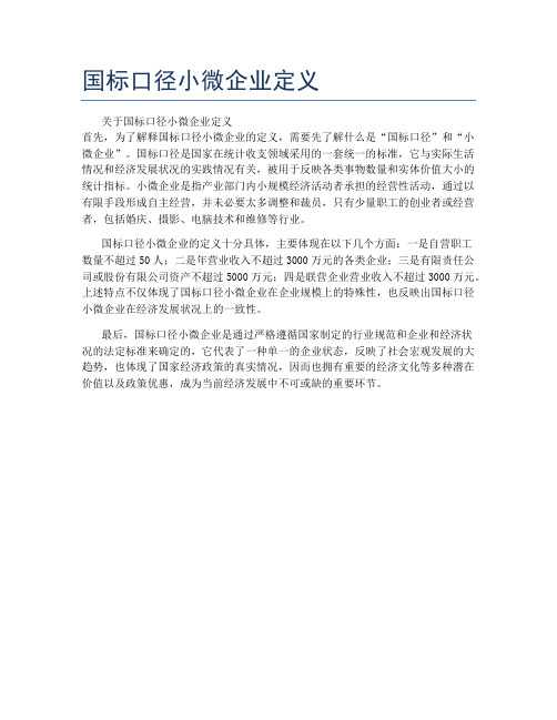 国标口径小微企业定义