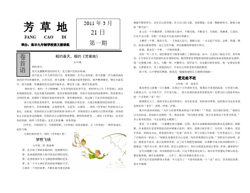 陕西省石泉县迎丰九年制学校芳草地文学社校刊 第1期