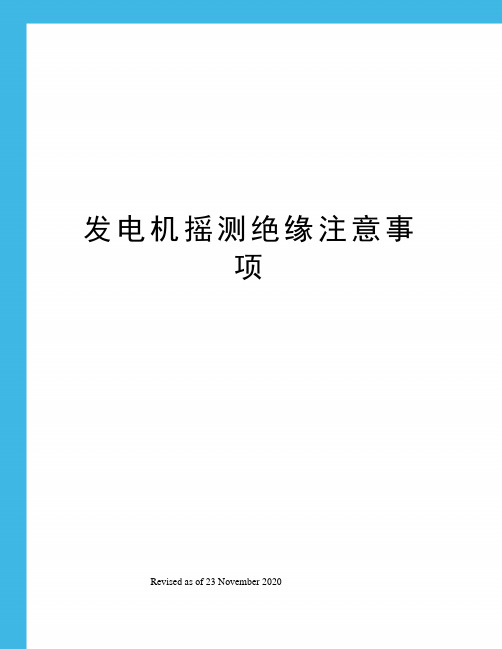 发电机摇测绝缘注意事项