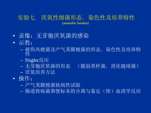 实验厌氧性细菌形态.染色性及培养特性