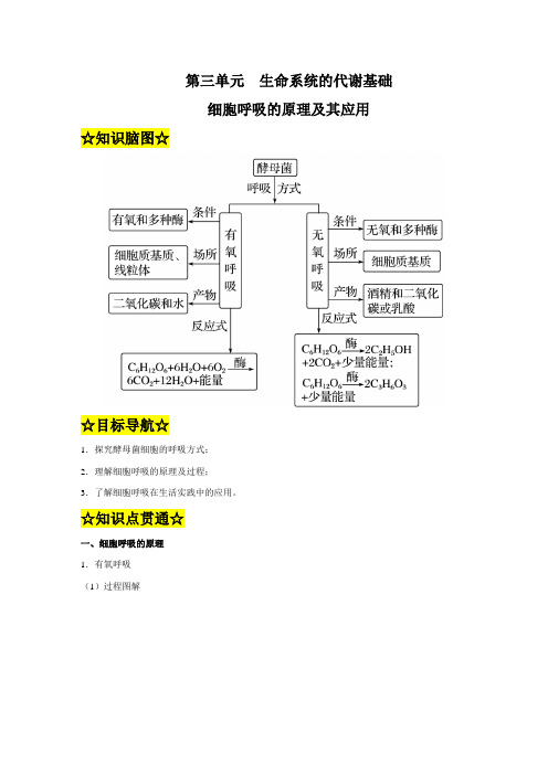 专题3.2 细胞呼吸的原理及其应用(知识精讲)(解析版)