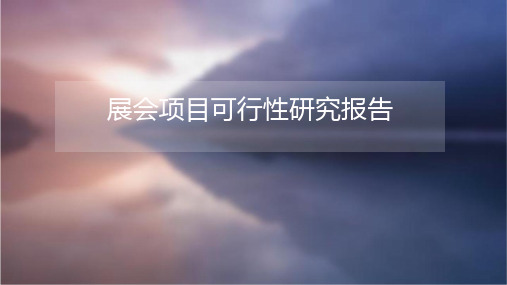 展会项目可行性研究报告