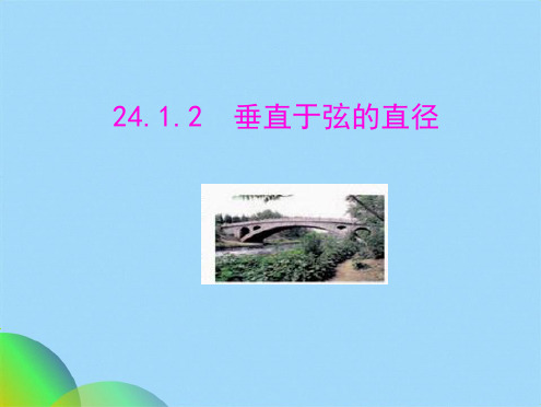 人教版数学九级上册 2412垂直于弦的直径(共21张PPT)