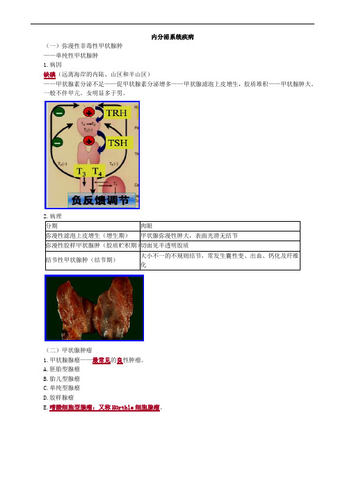 病理学-内分泌系统疾病