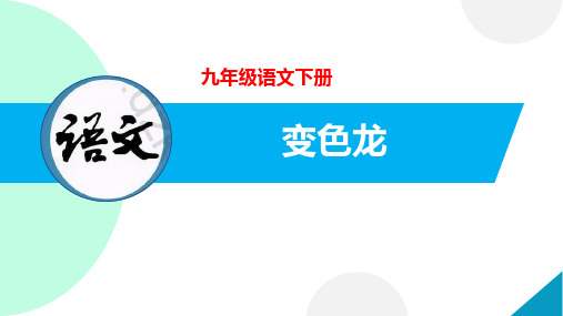 全国优质课一等奖部编版初中语文九年级下册《变色龙》【公开课微型课比赛完美版课件】