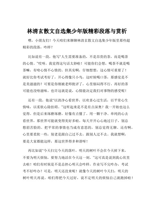 林清玄散文自选集少年版精彩段落与赏析