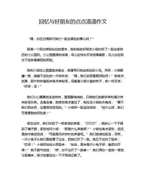 回忆与好朋友的点点滴滴作文