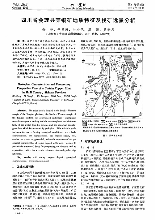 四川省会理县某铜矿地质特征及找矿远景分析